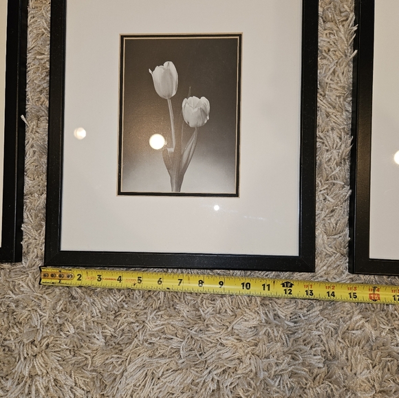 3 black and white framed flower pictures - Picture 6 of 12